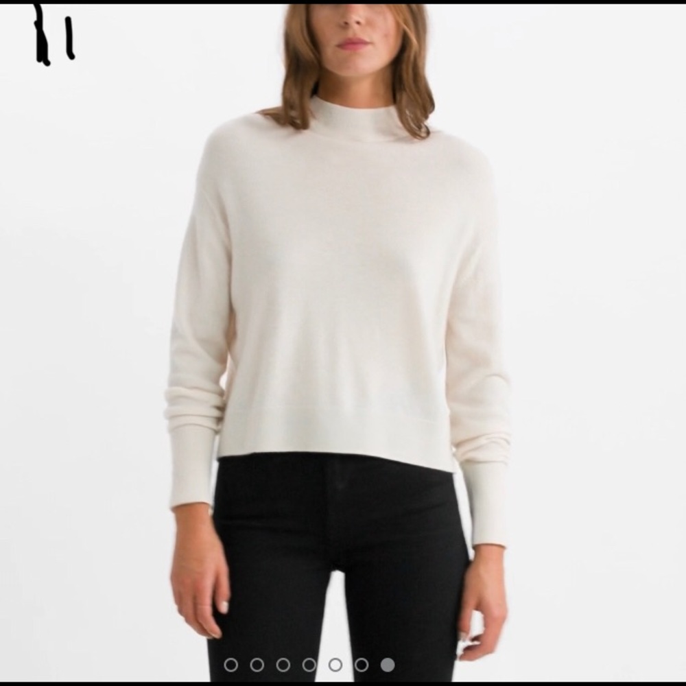 Everlane Cashmere Crop Mockneck Sweater